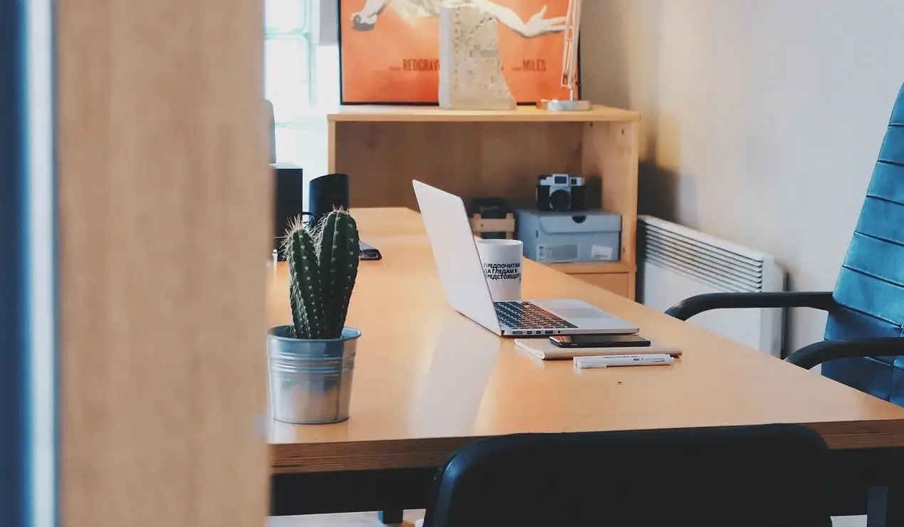 vacanza vera cercasi